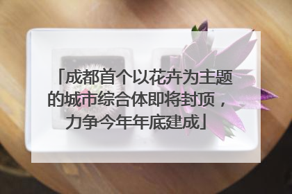成都首个以花卉为主题的城市综合体即将封顶，力争今年年底建成
